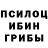 Галлюциногенные грибы Psilocybe Gindead ShadowRyu