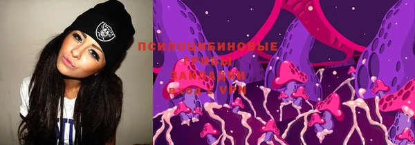 дживик Верея
