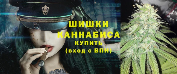 дживик Верея
