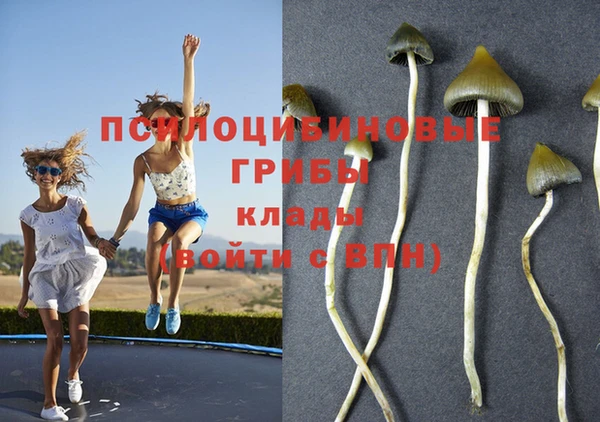 дживик Верея