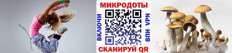 Псилоцибиновые грибы MAGIC MUSHROOMS Кашира